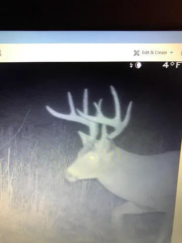 $1,200,000 | 0 Hollow Road, Alma, WI 54610