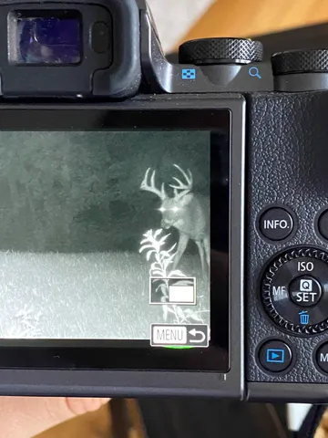 $1,200,000 | 0 Hollow Road, Alma, WI 54610