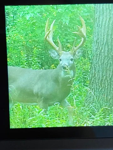 $1,200,000 | 0 Hollow Road, Alma, WI 54610