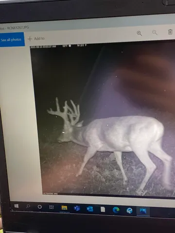 $1,200,000 | 0 Hollow Road, Alma, WI 54610