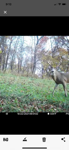 $1,200,000 | 0 Hollow Road, Alma, WI 54610