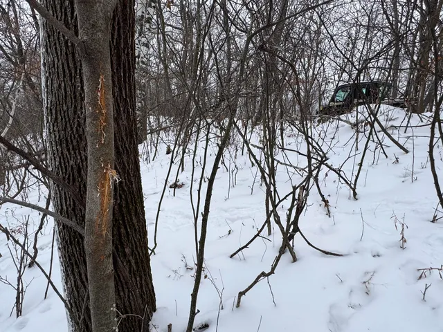 $1,200,000 | 0 Hollow Road, Alma, WI 54610