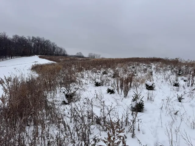 $1,200,000 | 0 Hollow Road, Alma, WI 54610