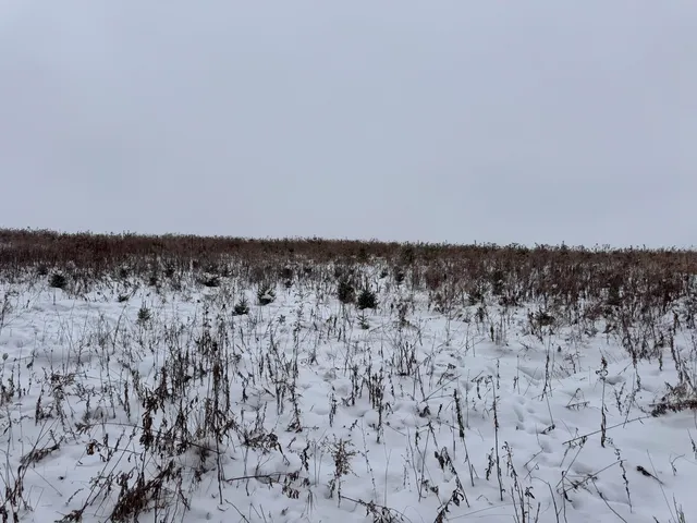 $1,200,000 | 0 Hollow Road, Alma, WI 54610