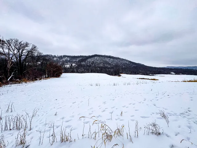 $1,200,000 | 0 Hollow Road, Alma, WI 54610