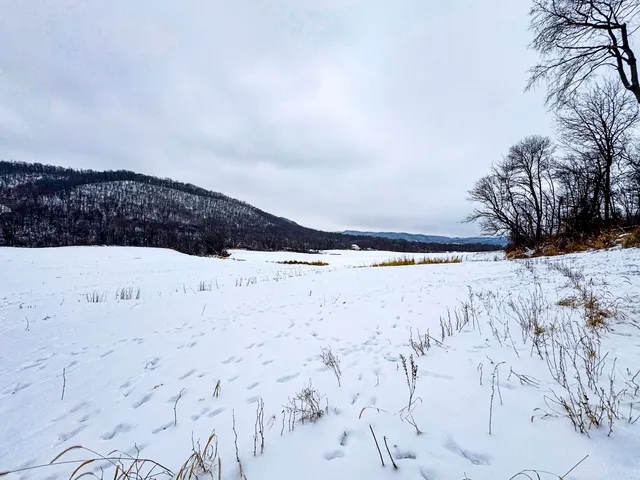 $1,200,000 | 0 Hollow Road, Alma, WI 54610