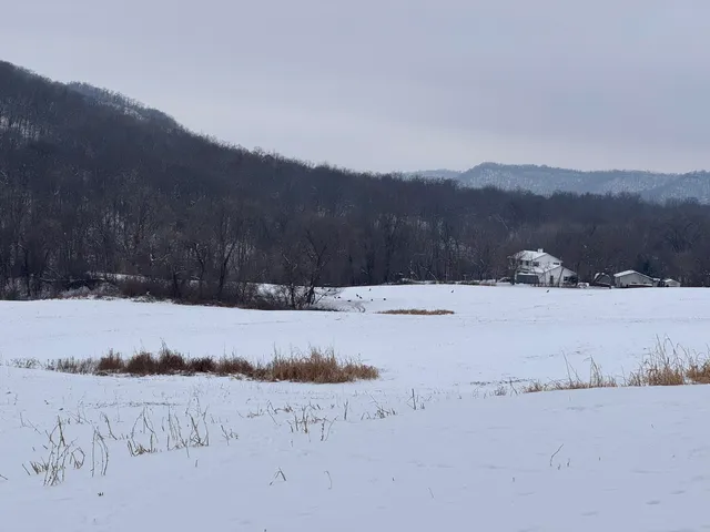 $1,200,000 | 0 Hollow Road, Alma, WI 54610