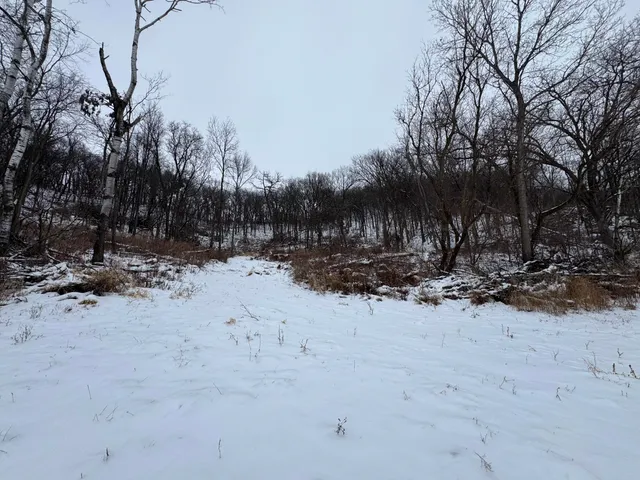 $1,200,000 | 0 Hollow Road, Alma, WI 54610