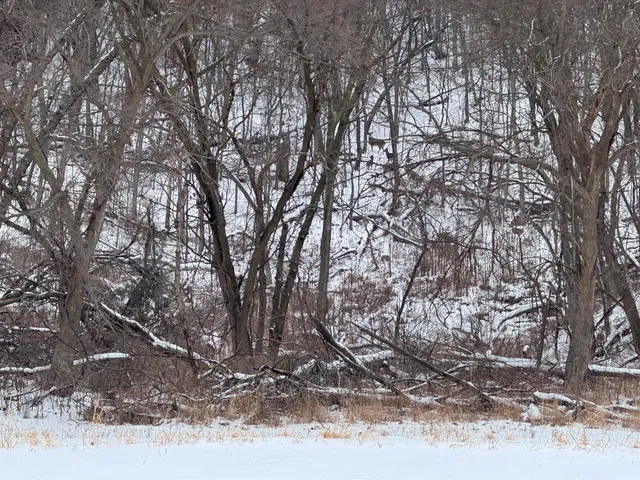 $1,200,000 | 0 Hollow Road, Alma, WI 54610