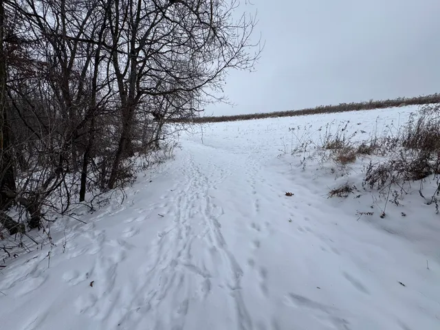 $1,200,000 | 0 Hollow Road, Alma, WI 54610