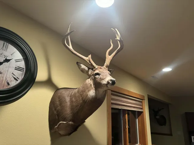 $1,200,000 | 0 Hollow Road, Alma, WI 54610