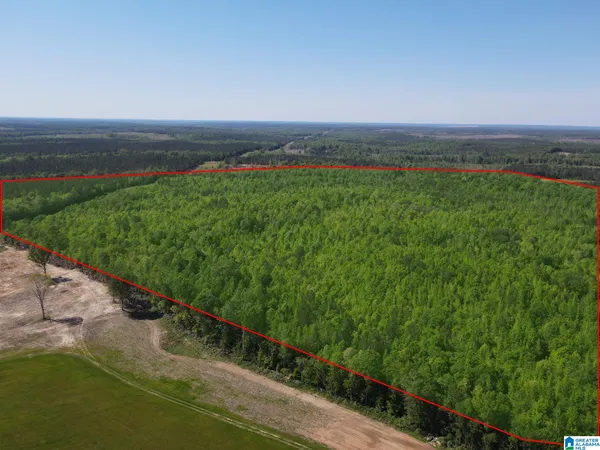 $499,000 | 73 County Road 73, Unit 20003000, Randolph, AL 36792