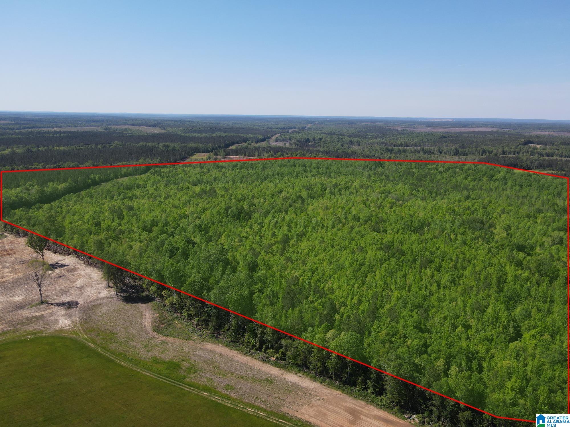 73 County Road 73, Unit 20003000 Randolph, AL 36792 - Photo 1 of 13