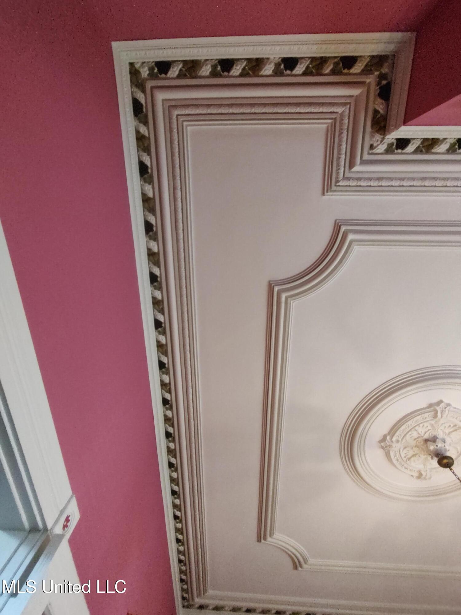 802 North Union Street Natchez, MS 39120 - Photo 35 of 70 Dining Room Ceiling detail _134213220
