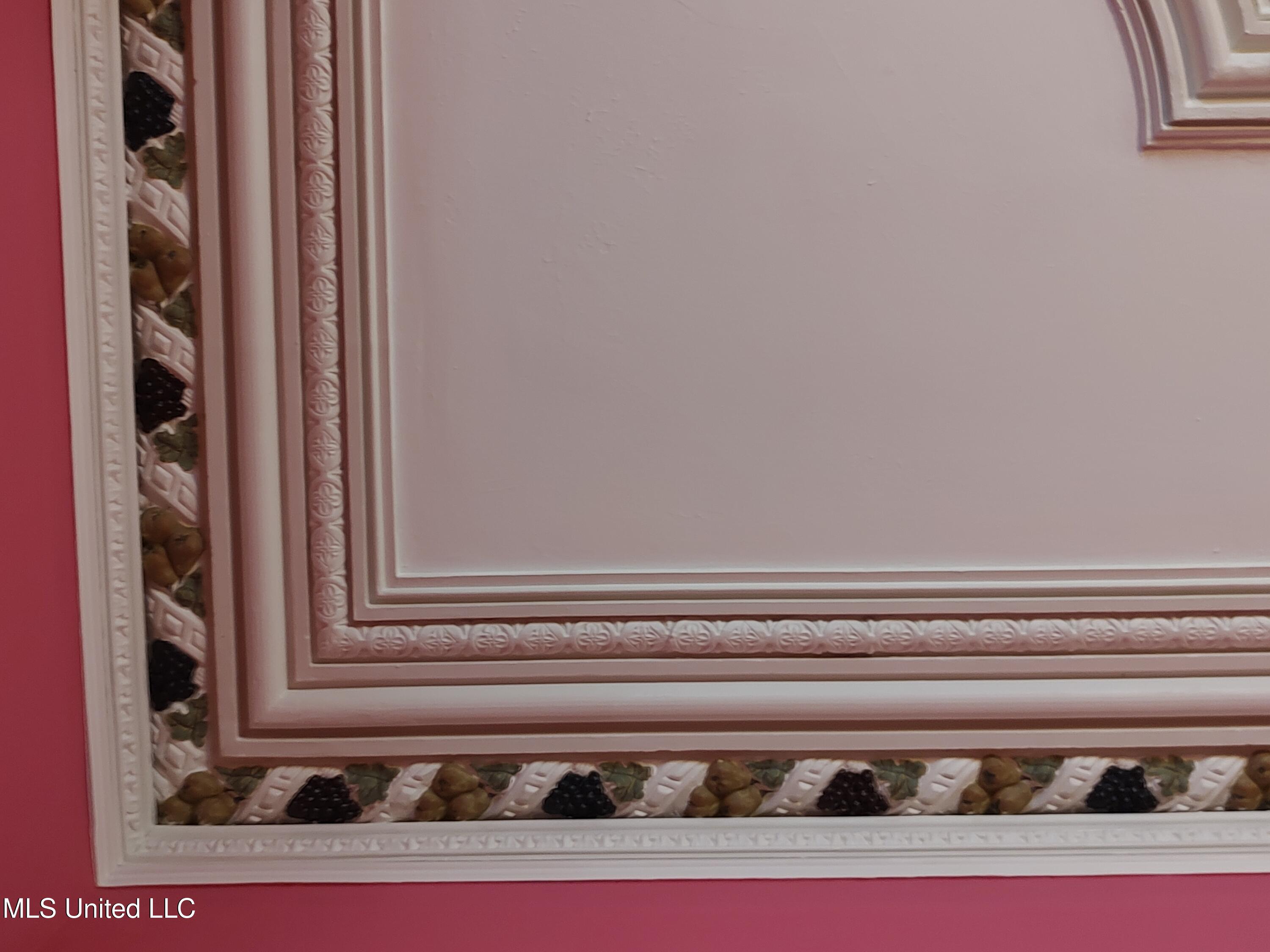 802 North Union Street Natchez, MS 39120 - Photo 36 of 70 Dining Room Ceiling detail up close_1342