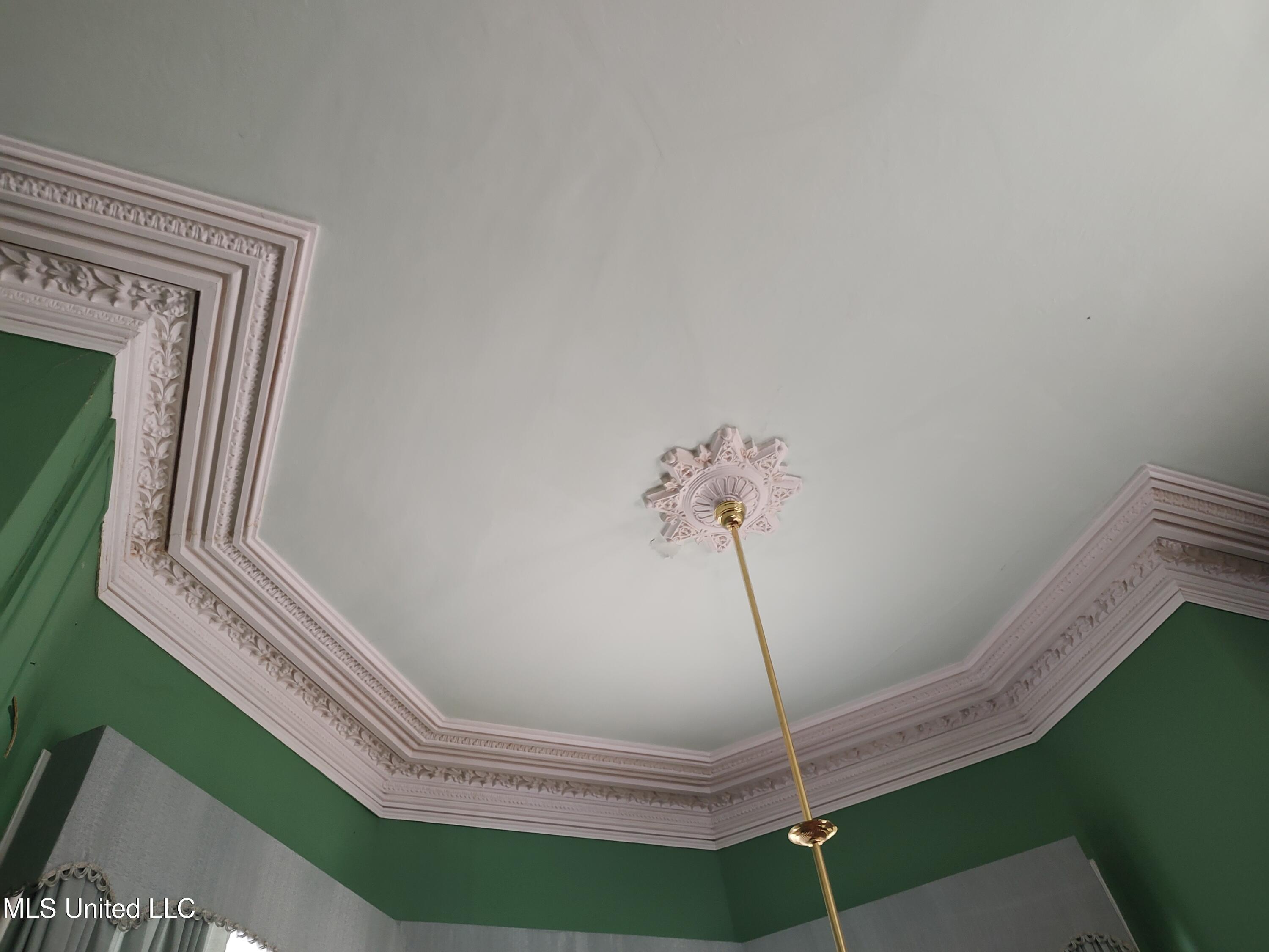 802 North Union Street Natchez, MS 39120 - Photo 40 of 70 Mens Parlor Ceiling_135724627