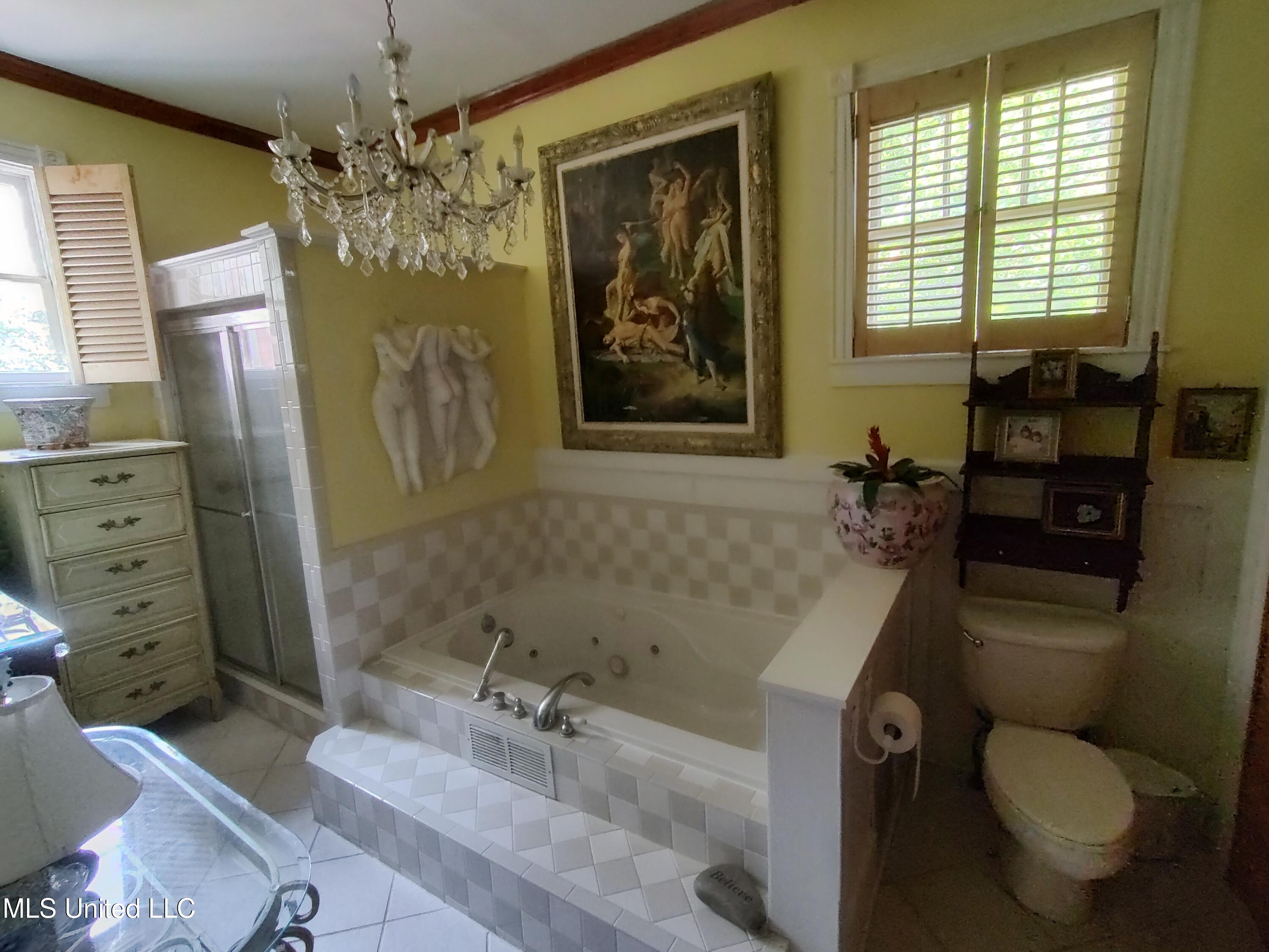 802 North Union Street Natchez, MS 39120 - Photo 52 of 70 Master Bath 135130364_HDR