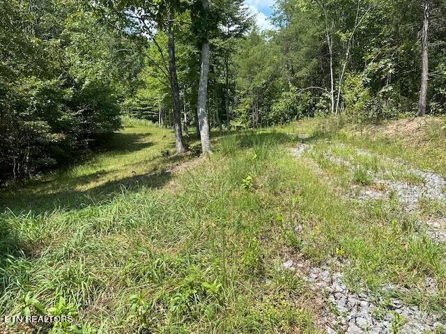 Cedar Rock Rutledge, TN 37861 - Photo 4 of 10 Cedar Rock 4.jpg