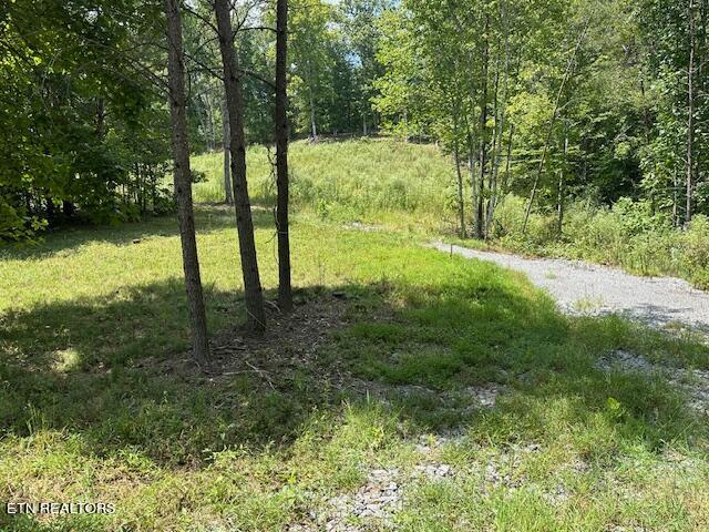 Cedar Rock Rutledge, TN 37861 - Photo 6 of 10 Cedar Rock 6.jpg