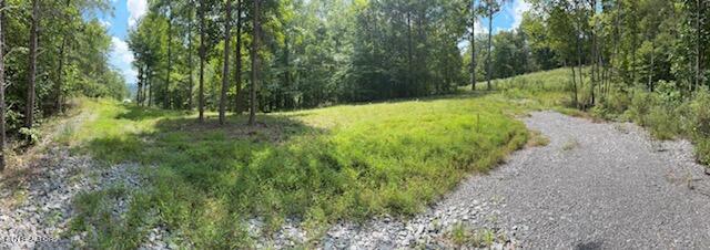 Cedar Rock Rutledge, TN 37861 - Photo 7 of 10 Cedar rock 7.jpg