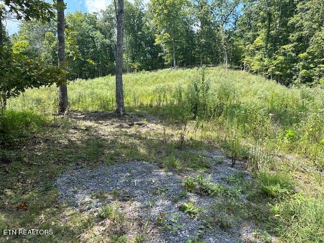 Cedar Rock Rutledge, TN 37861 - Photo 9 of 10 Cedar Rock 9.jpg