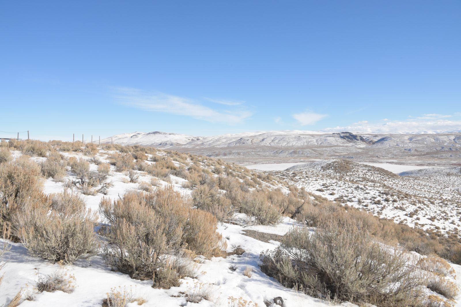 Cedar Street Elko, NV 89801 - Photo 11 of 14