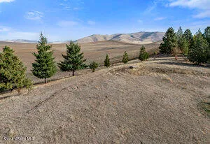 $925,000 | 3351 Lone Pine Road, Oakesdale, WA 99158