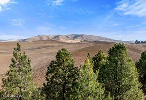 $925,000 | 3351 Lone Pine Road, Oakesdale, WA 99158