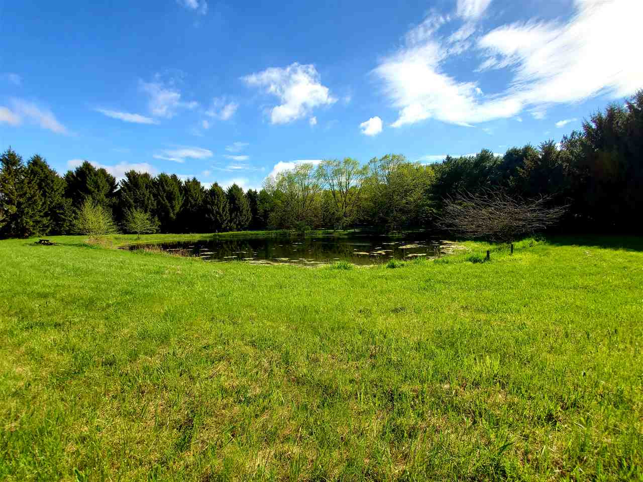 0 Cady Road Grass Lake, MI 49240 - Photo 1 of 7 Photo 1