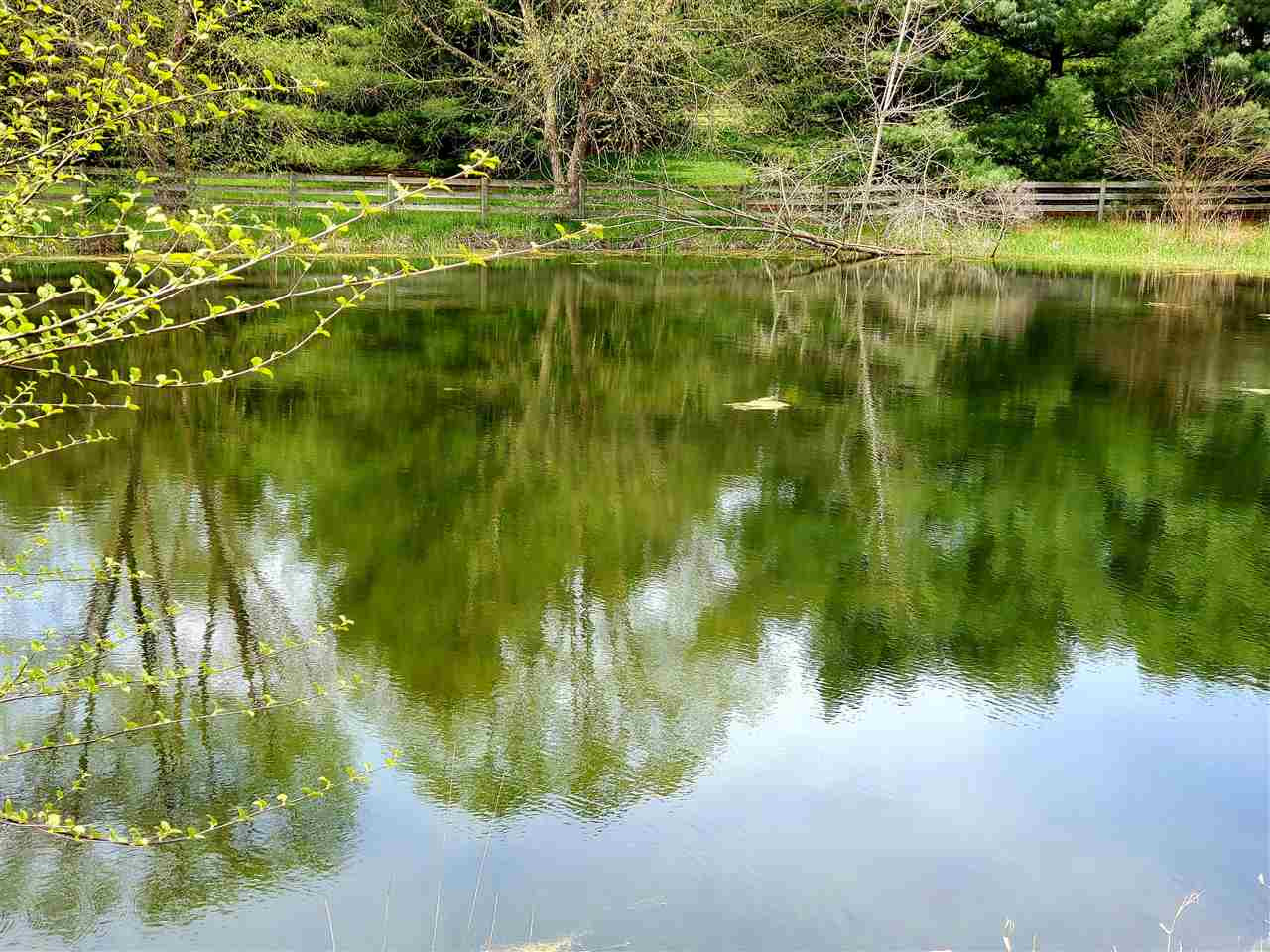 0 Cady Road Grass Lake, MI 49240 - Photo 3 of 7 Photo 3