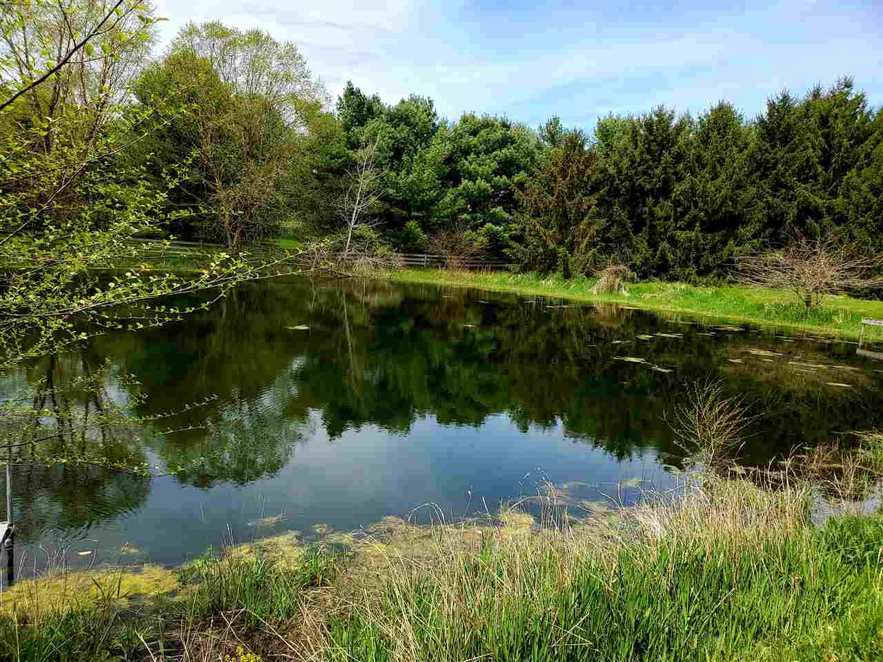 0 Cady Road Grass Lake, MI 49240 - Photo 4 of 7 Photo 4