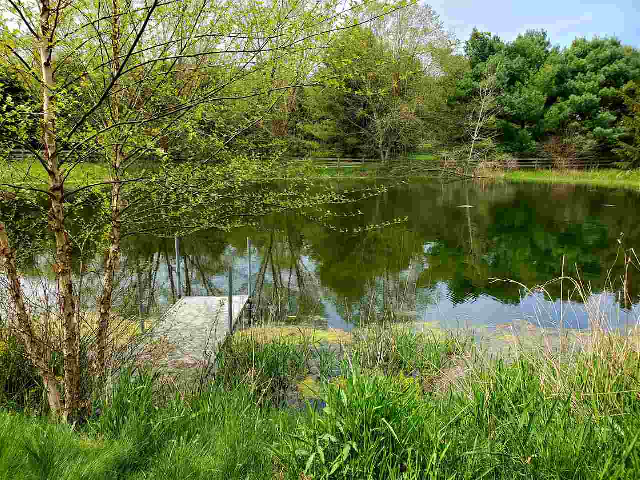 0 Cady Road Grass Lake, MI 49240 - Photo 5 of 7 Photo 5