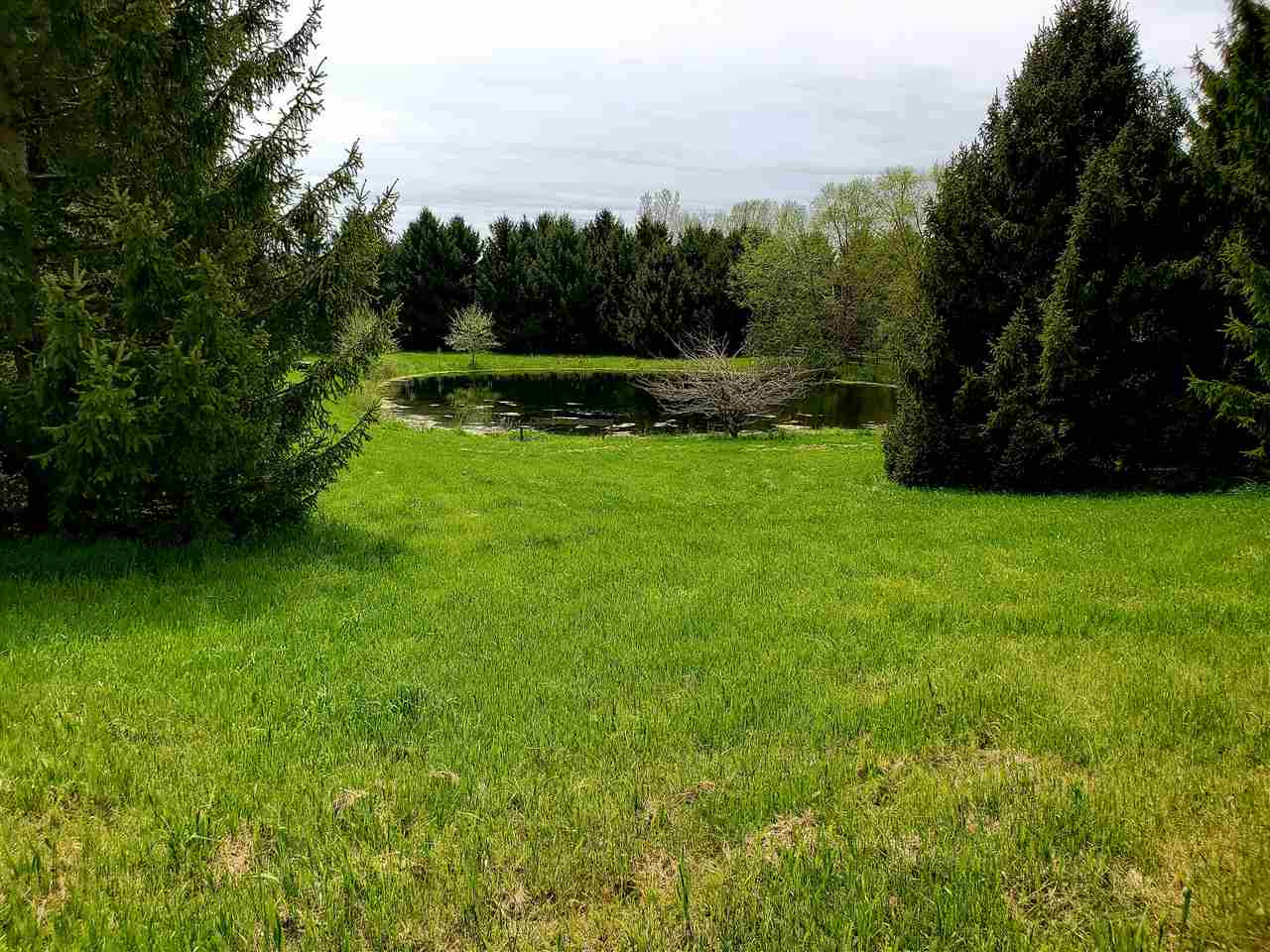 0 Cady Road Grass Lake, MI 49240 - Photo 6 of 7 Photo 6
