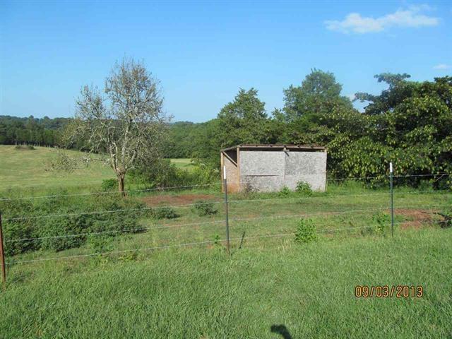 500 Judson Road Strawberry Plains, TN 37871 - Photo 20 of 28 Judson field view 3