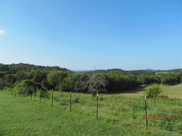 500 Judson Road Strawberry Plains, TN 37871 - Photo 21 of 28 Judson field view