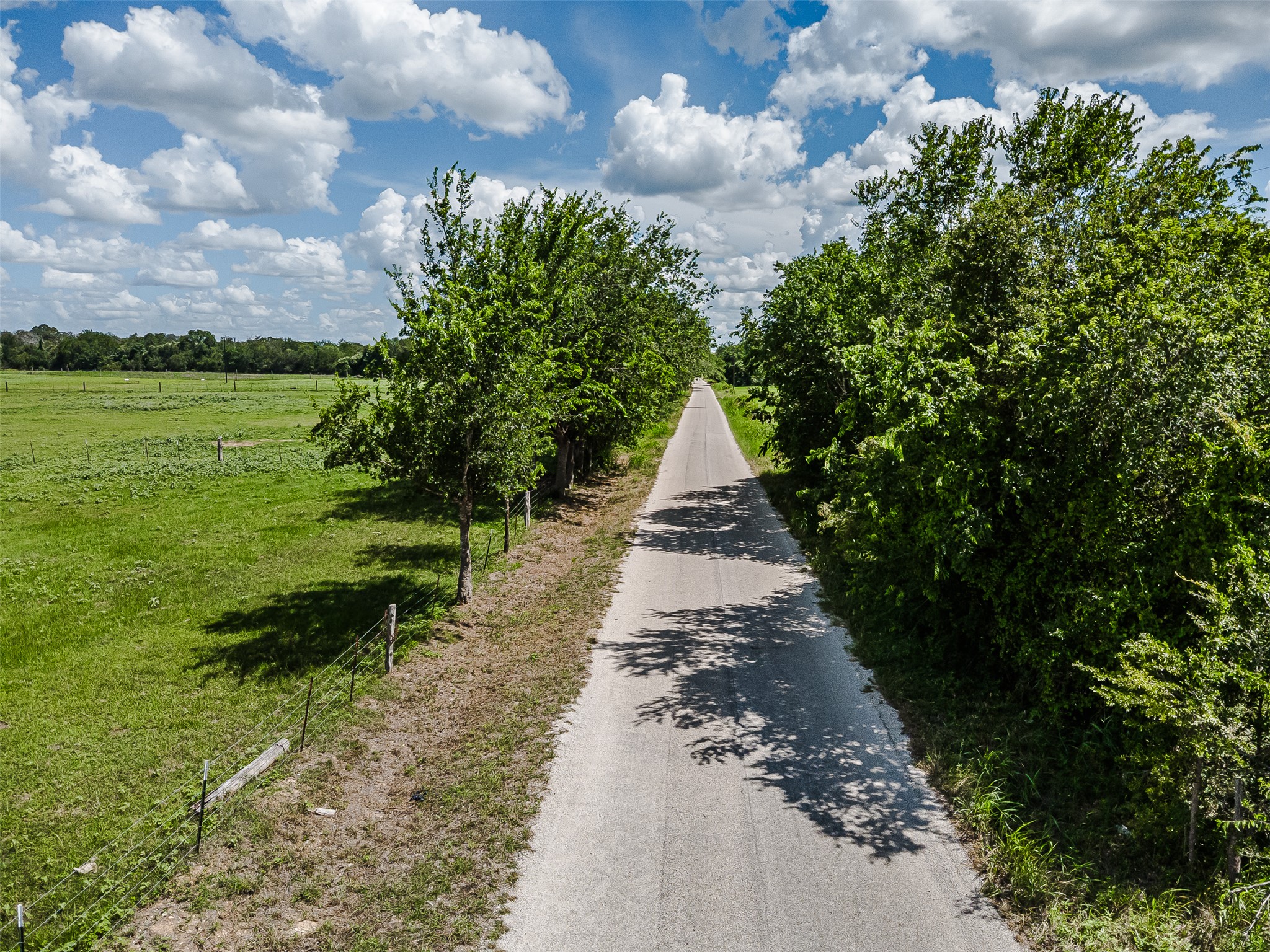 3109 Tenney Creek Road Dale, TX 78616 - Photo 15 of 23 A paved road in front of the property.