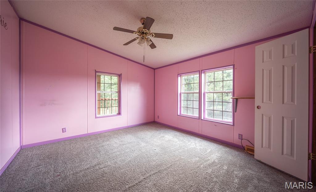 16500 Buttercup Road Crocker, MO 65452 - Photo 12 of 26