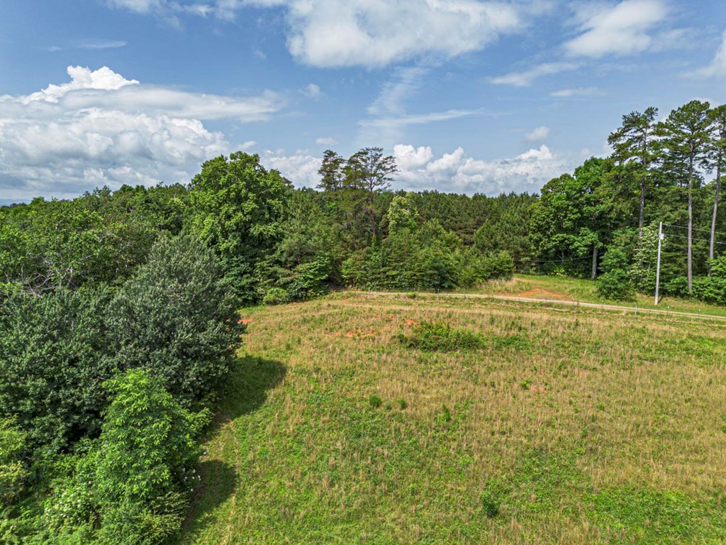 541 Pleasant Hill Road Copperhill, TN 37317 - Photo 17 of 20