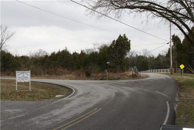 0 Gilmore Hill Road Lebanon, TN 37087 - Photo 3 of 6 Gallery Image 3