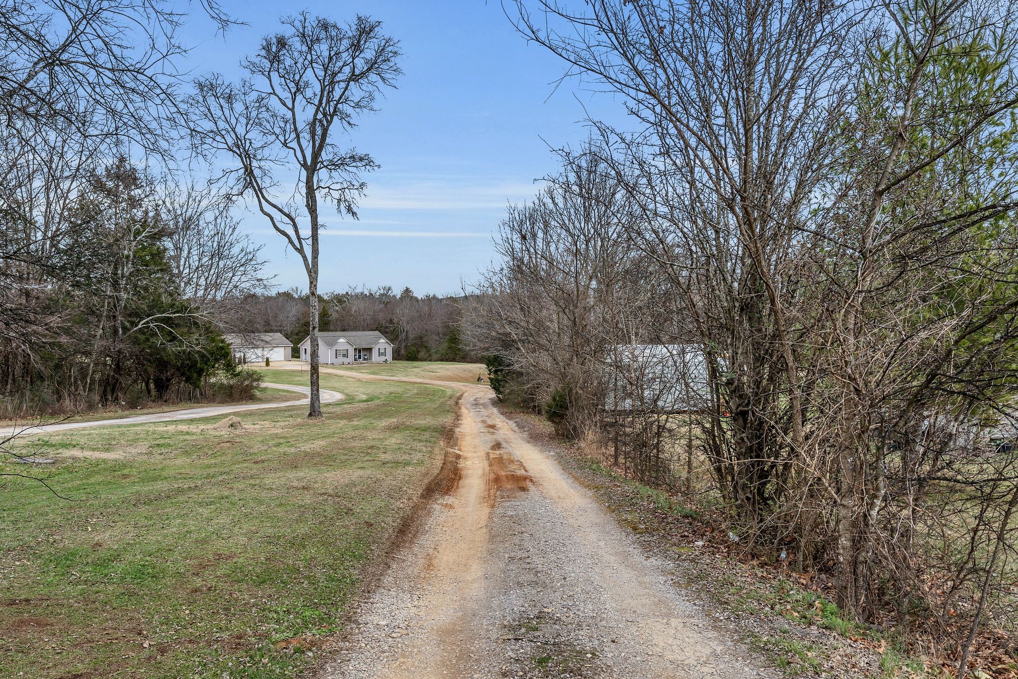 4237 Kedron Road Spring Hill, TN 37174 - Photo 5 of 48 a view of a yard with trees