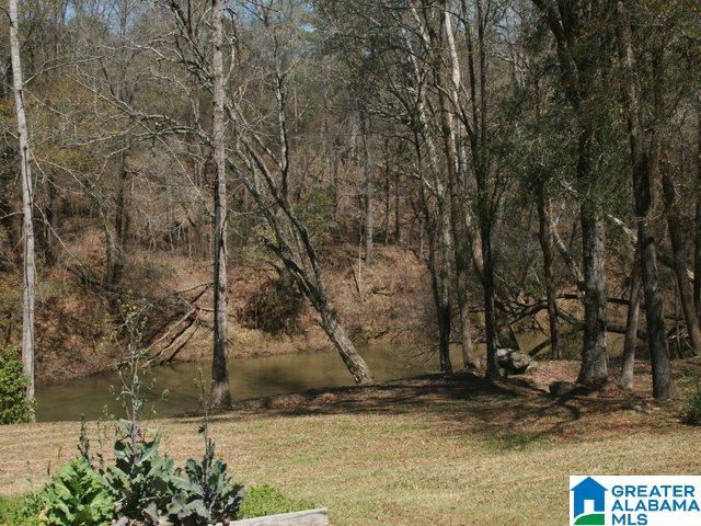 6912 Cyn Ml Road Cottondale, AL 35453 - Photo 32 of 32