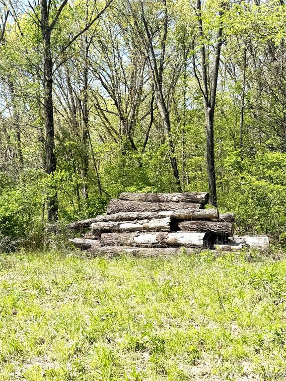 431 Piper Court Troy, MO 63379 - Photo 11 of 13