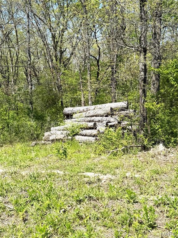 431 Piper Court Troy, MO 63379 - Photo 12 of 13