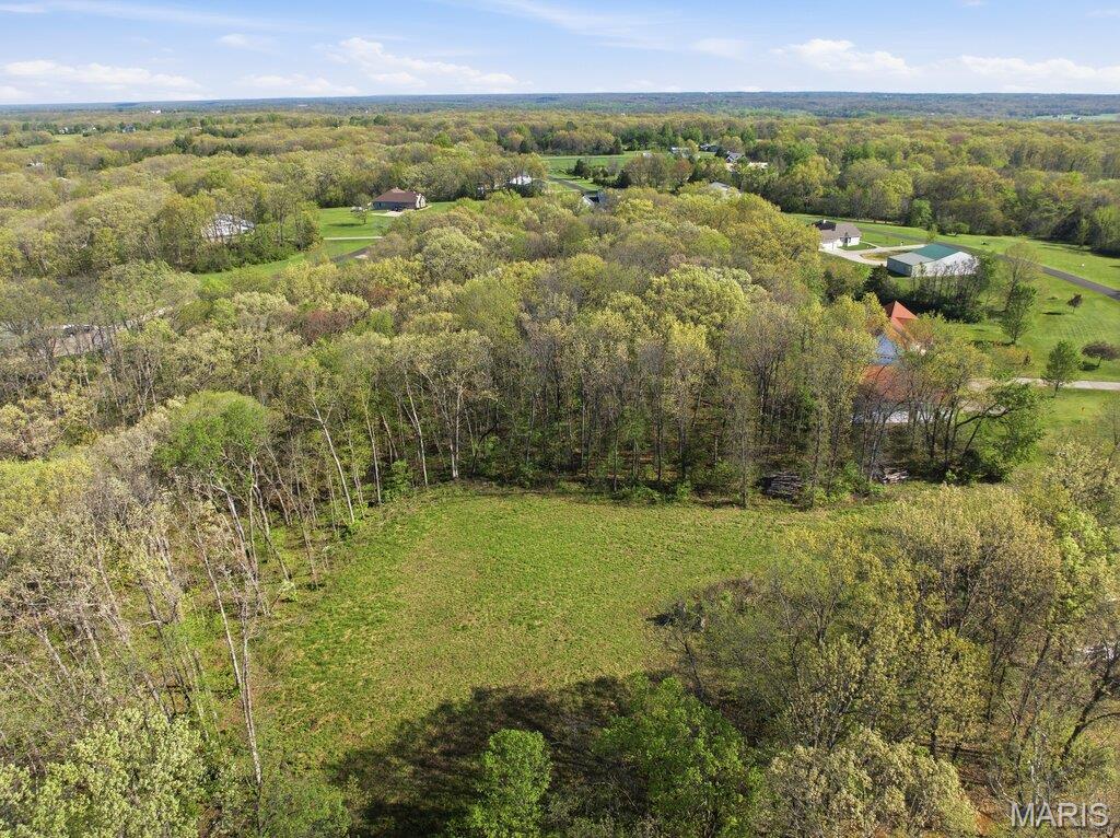 431 Piper Court Troy, MO 63379 - Photo 3 of 13