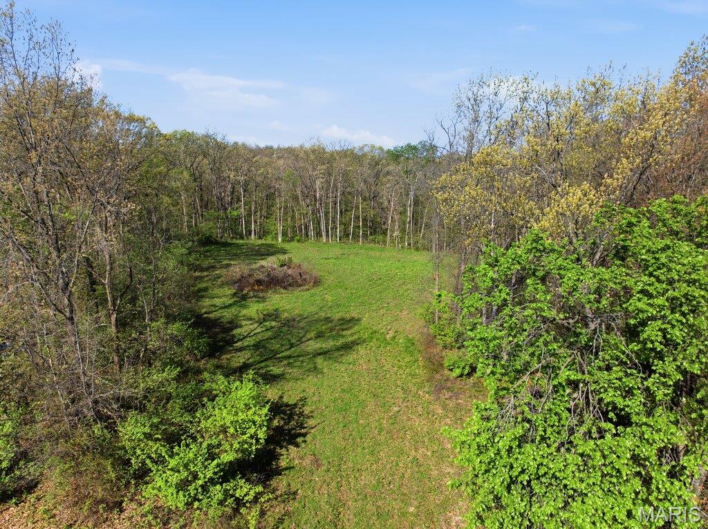 431 Piper Court Troy, MO 63379 - Photo 4 of 13