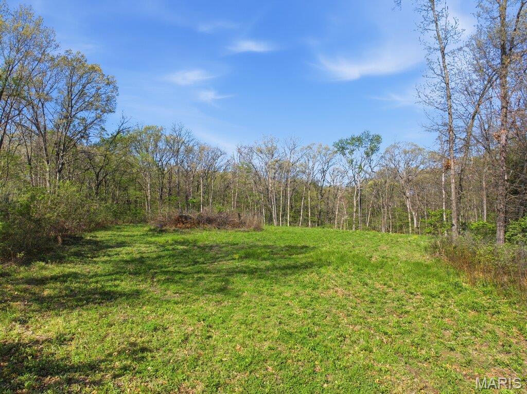 431 Piper Court Troy, MO 63379 - Photo 9 of 13