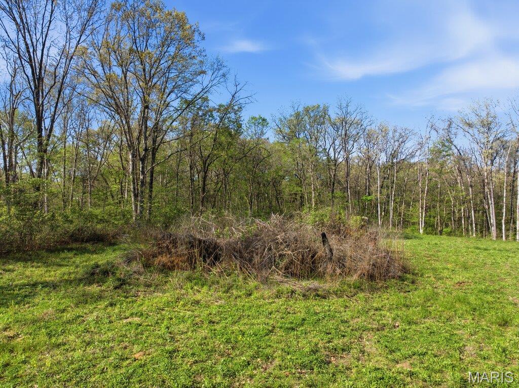 431 Piper Court Troy, MO 63379 - Photo 10 of 13