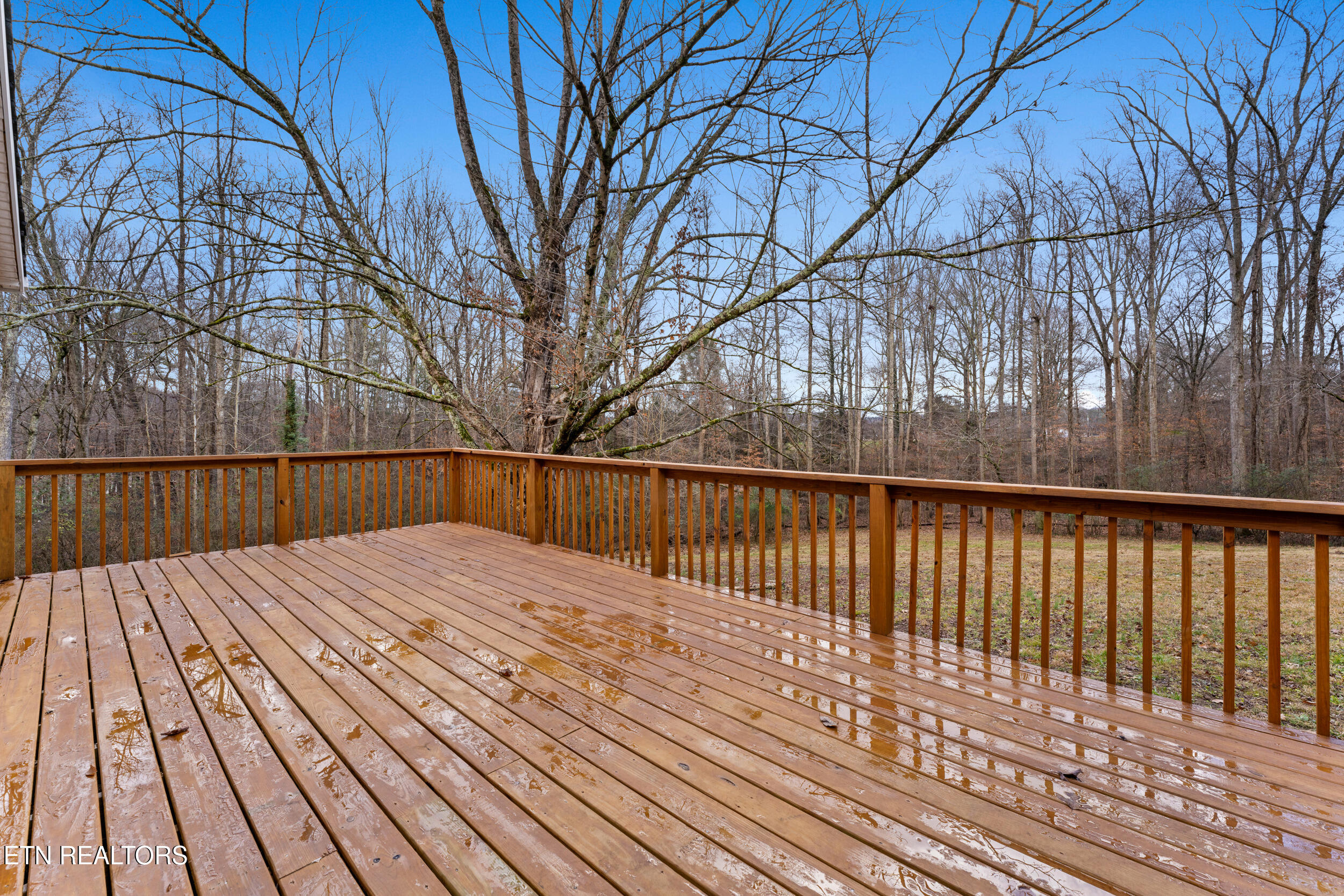 214 Tanglewood Road Harriman, TN 37748 - Photo 46 of 60 214 tanglewood rd-7