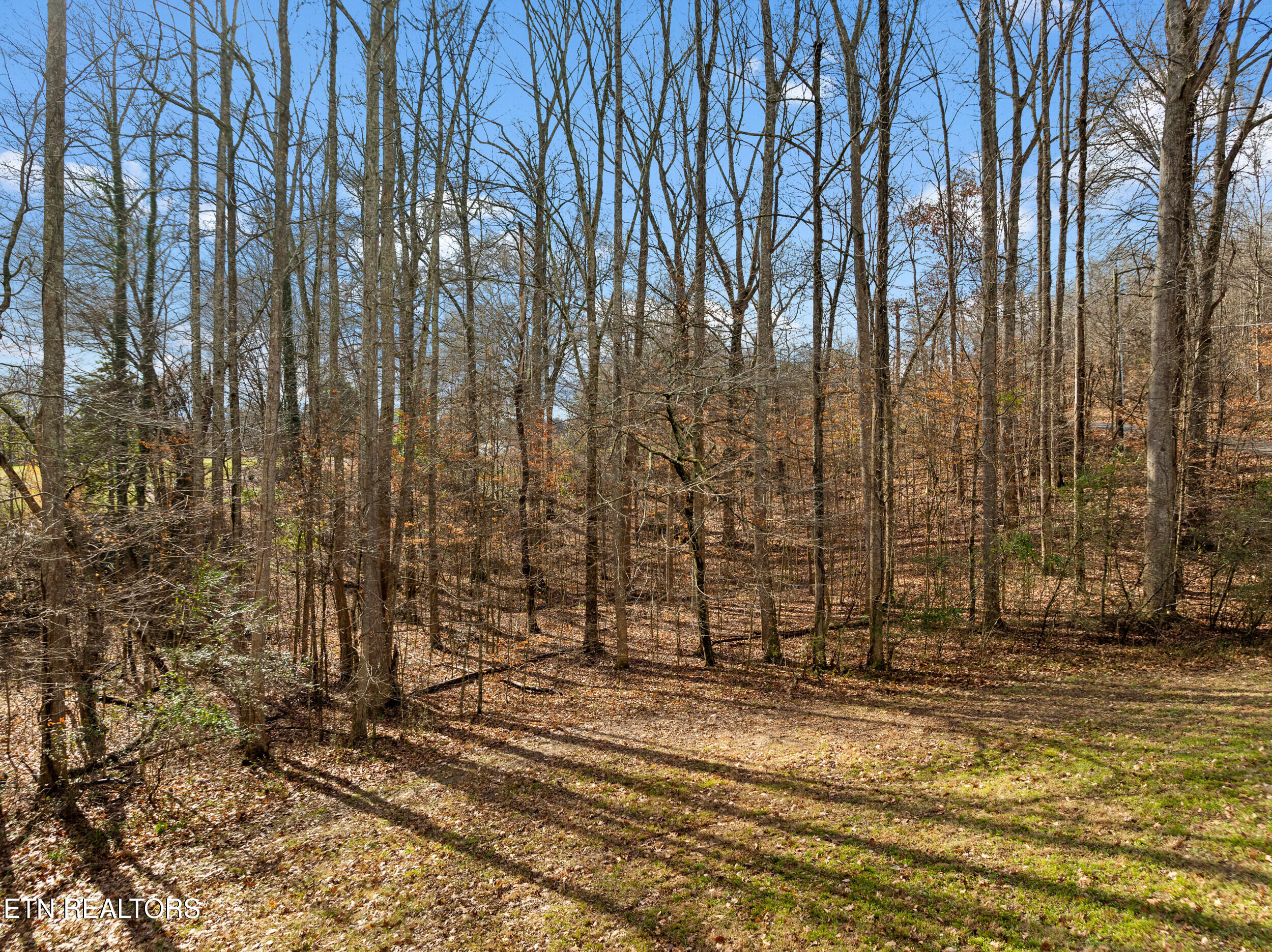 214 Tanglewood Road Harriman, TN 37748 - Photo 54 of 60 214 tanglewood rd-15