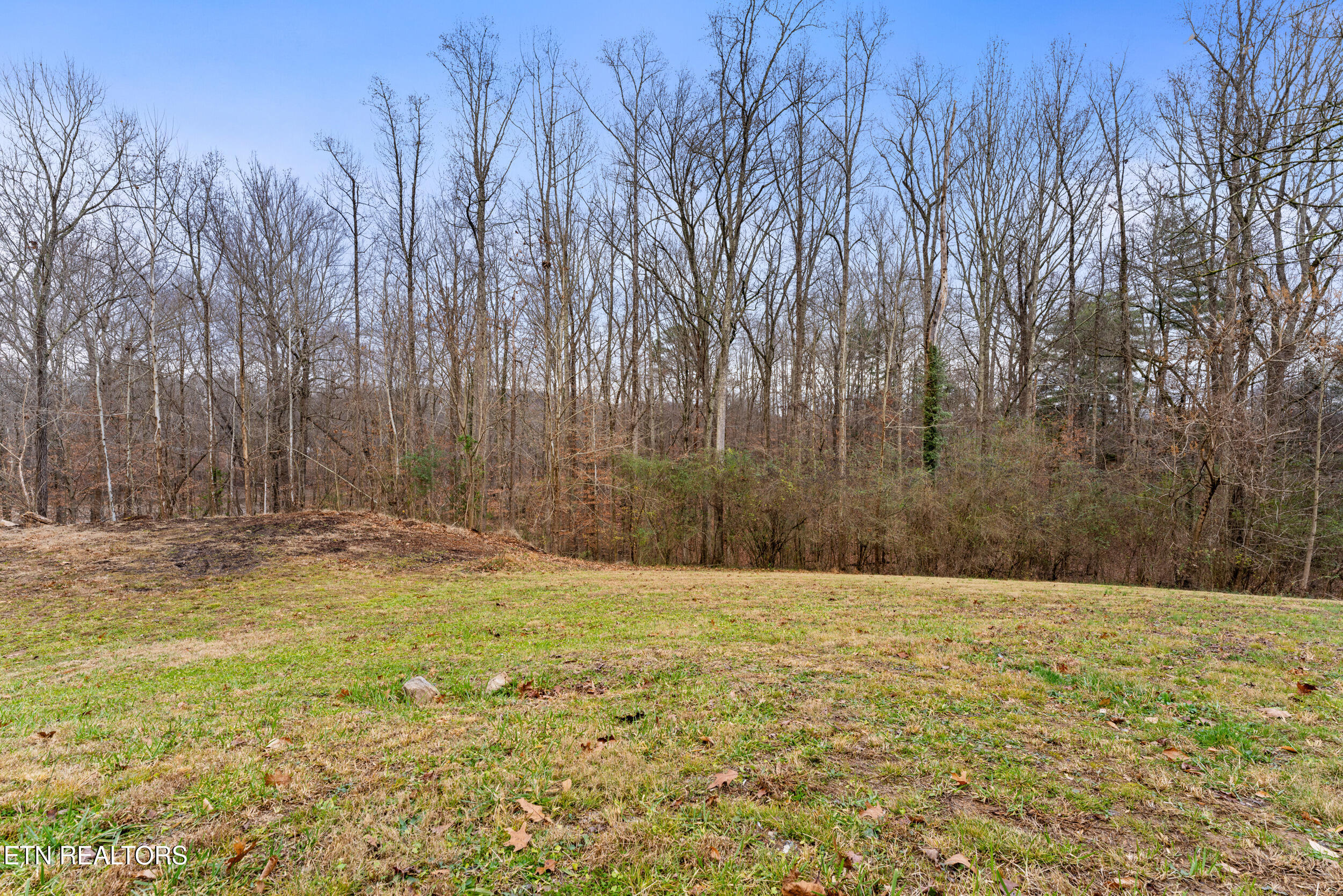 214 Tanglewood Road Harriman, TN 37748 - Photo 55 of 60 214 tanglewood rd-16